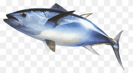 Free Fish Gif Transparent Download - Big Fish Png Emoji,Tuna Emoji