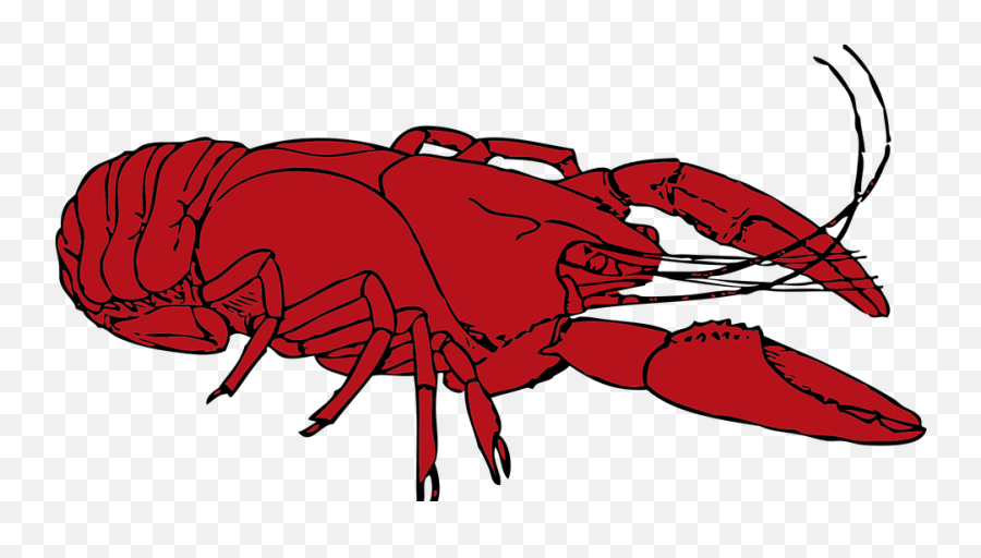 Free Seafood Fish Illustrations - Crawfish Clipart Emoji,Lobster Emoticon