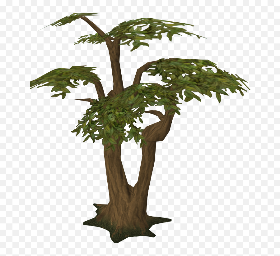 Jungle Tree Clipart Png - Jungle Tree Transparent Emoji,Runescape Emoji