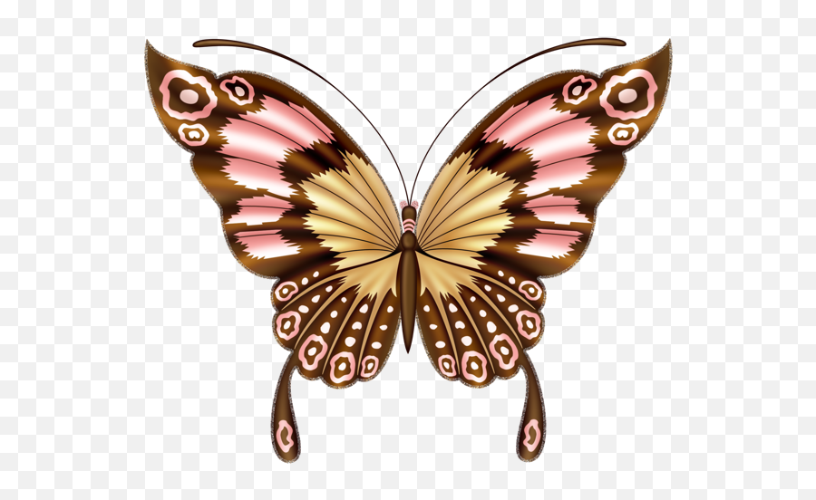 Jungle Clipart Butterfly Jungle Butterfly Transparent Free - Beautiful Butterfly Images Png Emoji,Butterfly Emoticon