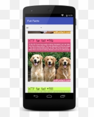 WTF Fun Facts 15 Download APK for Android - Aptoide Dog Emoji