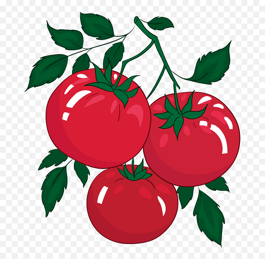 Tomato Clipart - Transparent Clip Art Tomato Emoji,Tomato Emoji