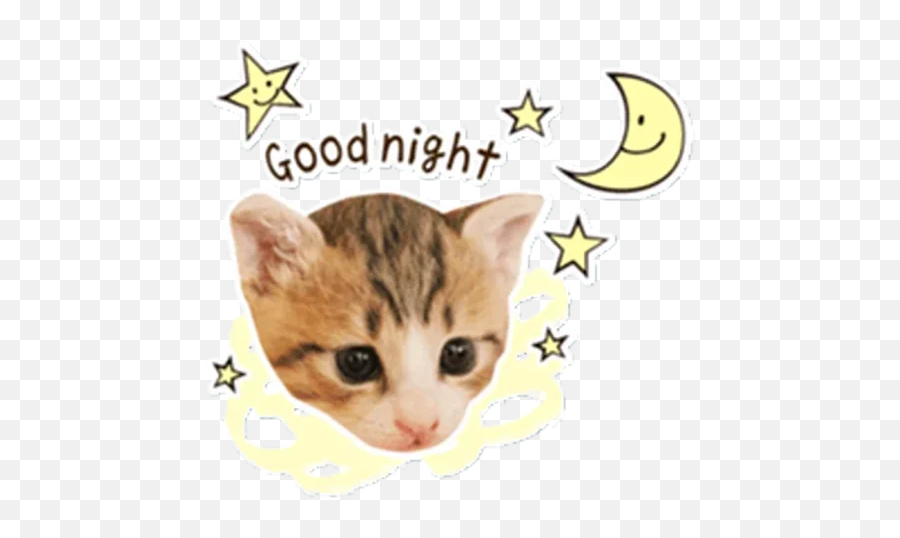 Cats Memes Whastickersapps Nuevos - Google Play Event Emoji,Cat Heart Emoji Meme