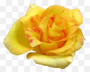 Yellow Rose Flowers Png Pic - Yellow Roses Transparent Emoji,Emoji Flower Png