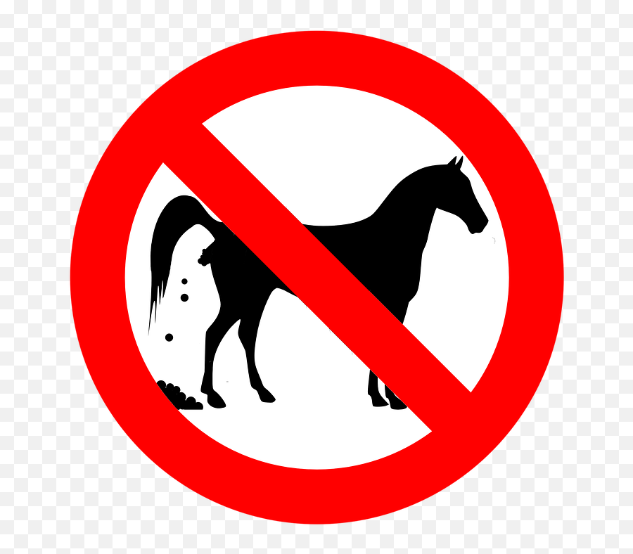 Horse Ban Feces Summer - Ai Emoji,Night Horse Emoji