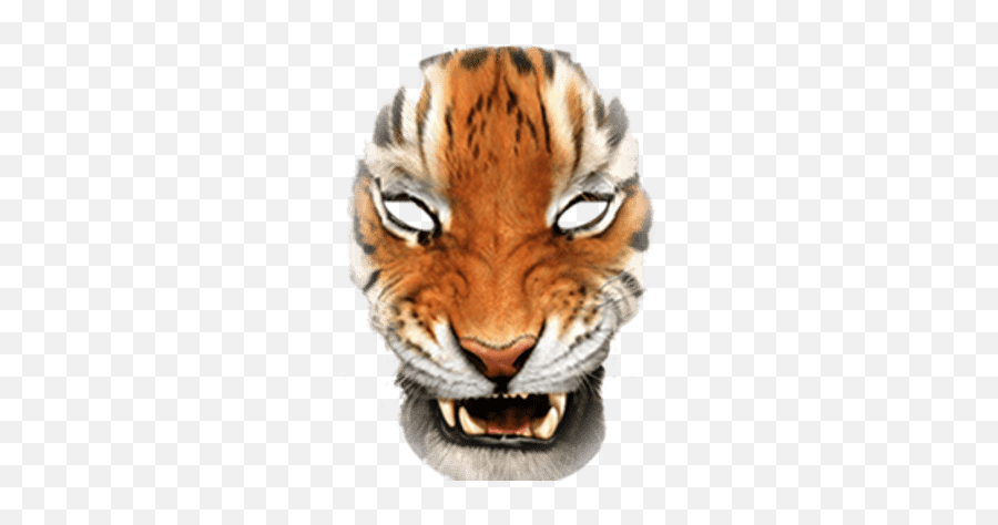 Face Png And Vectors For Free Download - Tiger Face Transparent Png Emoji,Tiger Face Emoji