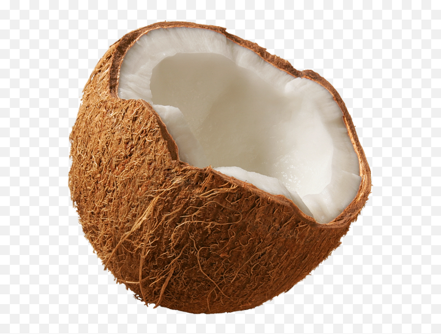 Coconut - Transparent Background Coconut Png Emoji,Emoji Coconut