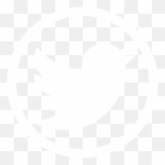 Free Twitter Bird White Png Download Free Clip Art Free - White Twitter Icon Png Emoji,Twitter Bird Emoji