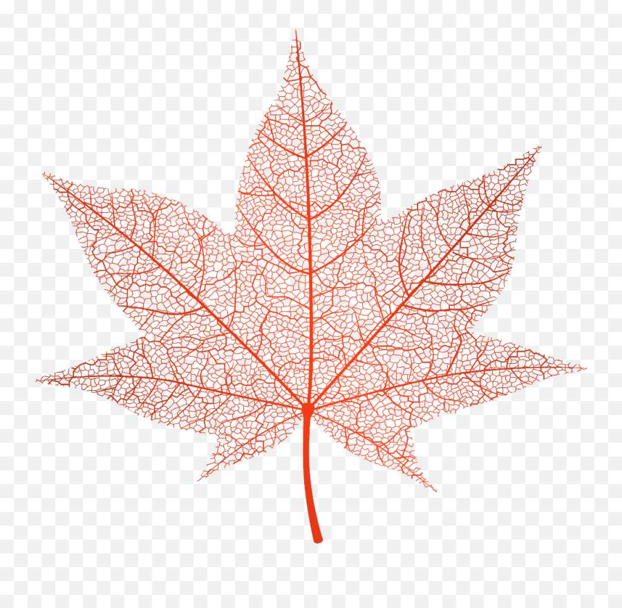 Ftestickers Autumn Fall Leaf Maple Transparent - Maple Leaf Png Transparent Emoji,Maple Leaf Emoji