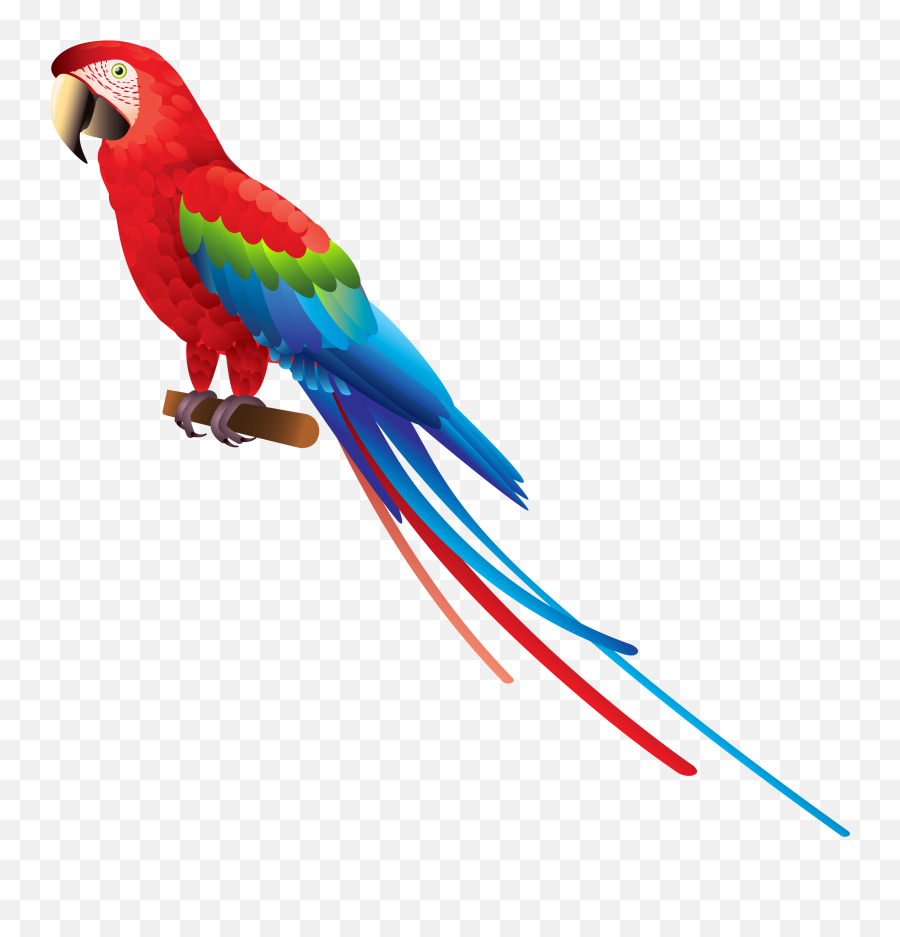 Parrot Shadow Transparent Png Clipart - Transparent Background Macaw Clipart Emoji,Parakeet Emoji