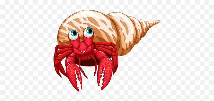 Crabs Drawing Body Transparent U0026 Png Clipart Free Download - Ywd Transparent Background Hermit Crab Clipart Emoji,Crab Emoji
