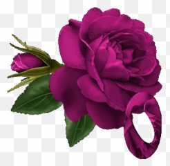 56 Best Flowers images Beautiful flowers - Imagenes De Rosas Amor Emoji