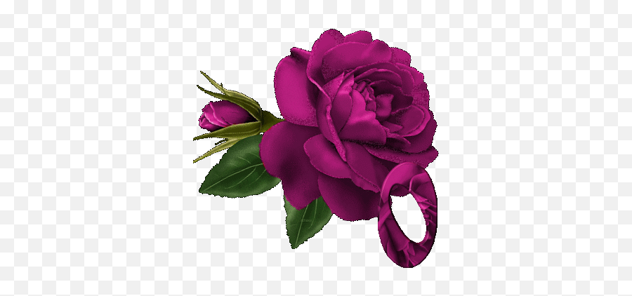 56 Best Flowers Images Flowers Beautiful Flowers - Imagenes De Rosas De Amor Emoji,Wilted Rose Emoji