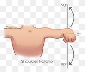 Download Shoulder Muscle 8 - Rotation Of The PNG Emoji