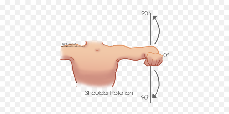 Download Shoulder Muscle 8 - Rotation Of The Muscle Png Rotation Muscle Emoji,Arm Muscle Emoji