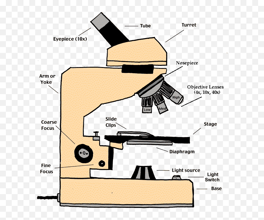 Compound Light Microscope Clipart - Parts Of Standard Microscope Emoji,Microscope And Rat Emoji