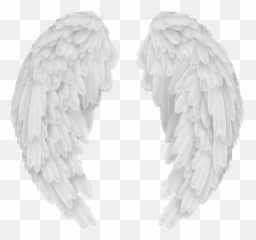 Library Of Heart With Wings Graphic - Transparent Background Angel Emoji