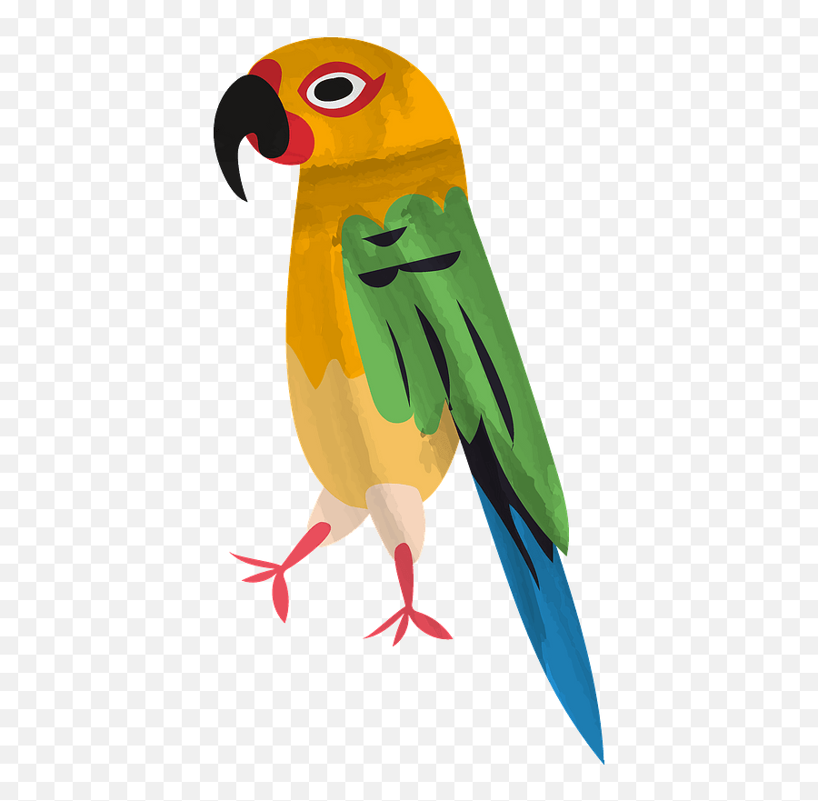 Parrot Clipart Free Download Transparent Png Creazilla - Pet Birds Emoji,Parrot Emoji