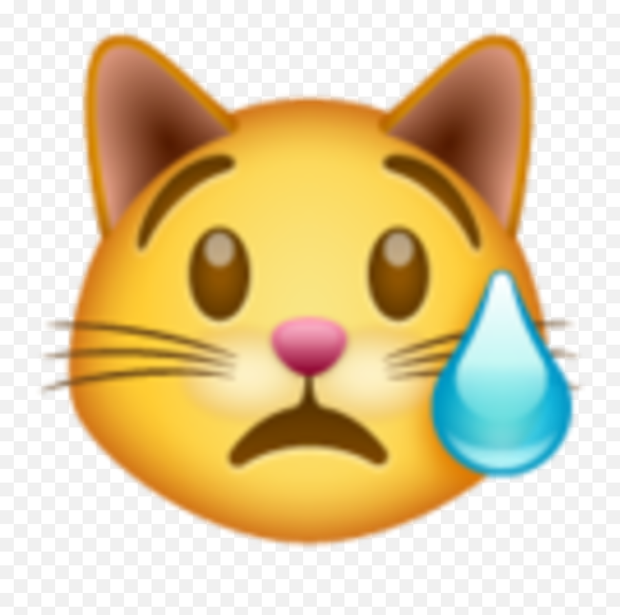 El Significado De Los Emojis De Whatsapp Qué Significa Cada Uno - Crying Cat Emoji Whatsapp,Emojis Llorando
