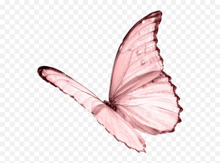 Aesthetic Pastel Pink Butterfly Niche - Pink Butterfly Transparent Background Emoji,Butterfly Emoji Png