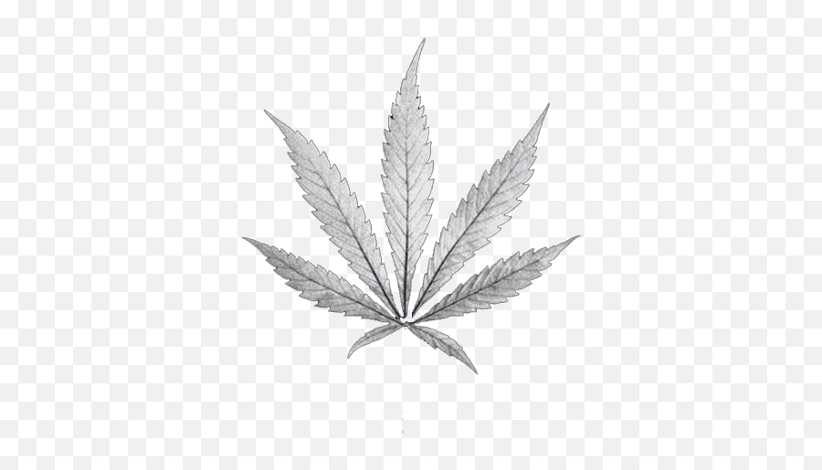 Top K Pot Stickers For Android Ios - Black And White Marijuana Leaf Emoji,Pot Leaf Emoticon