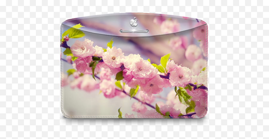 Folder Nature Cherry Tree Icon - Flower Desktop Folder Icons Emoji,Cherry Blossom Emoji