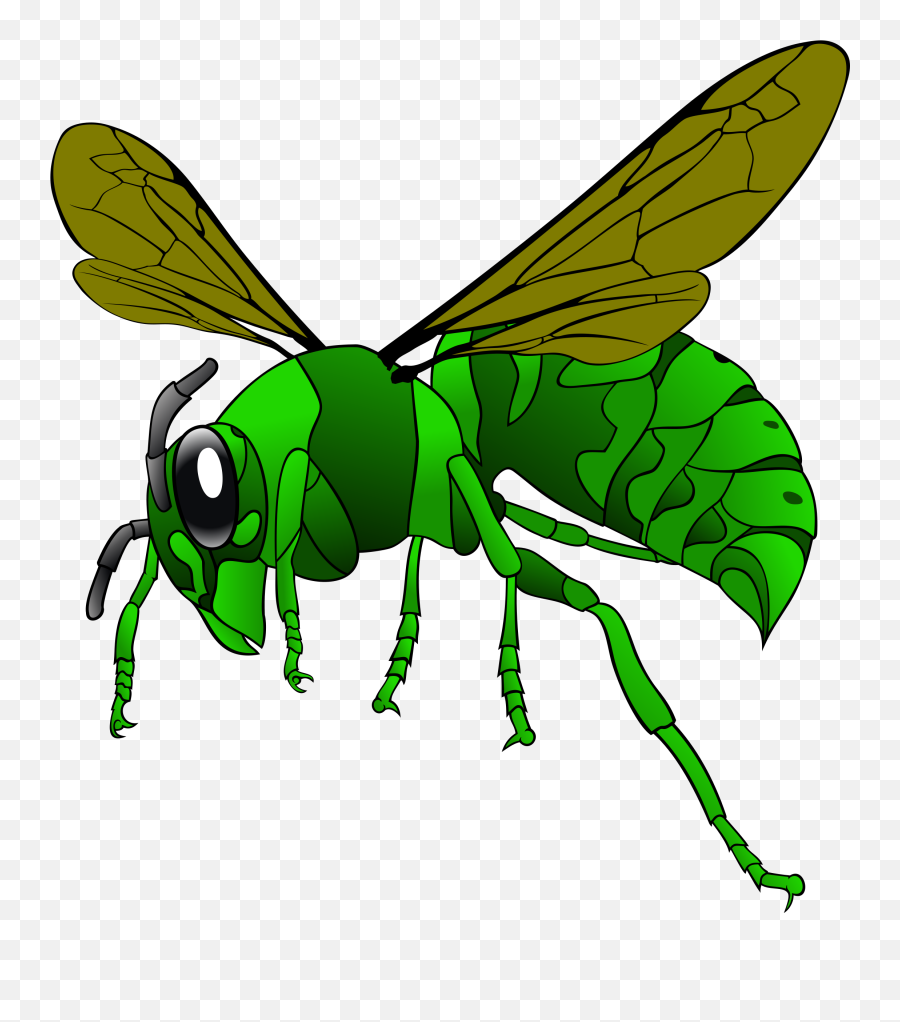 Green Hornet Clipart - Asian Giant Hornet Drawing Emoji,The Green Hornet Emoji