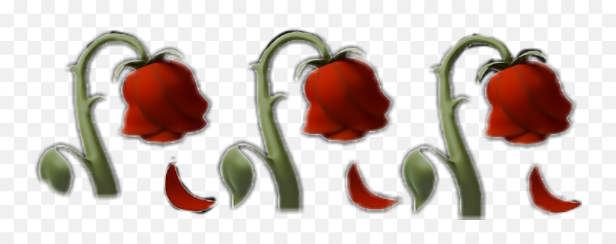 Emoji Rose Roses Red Aesthetic Sad - Illustration,Rose Emoji Text