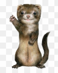 Ferret Cute Sticker - Ferret Standng Emoji,Weasel Emoji