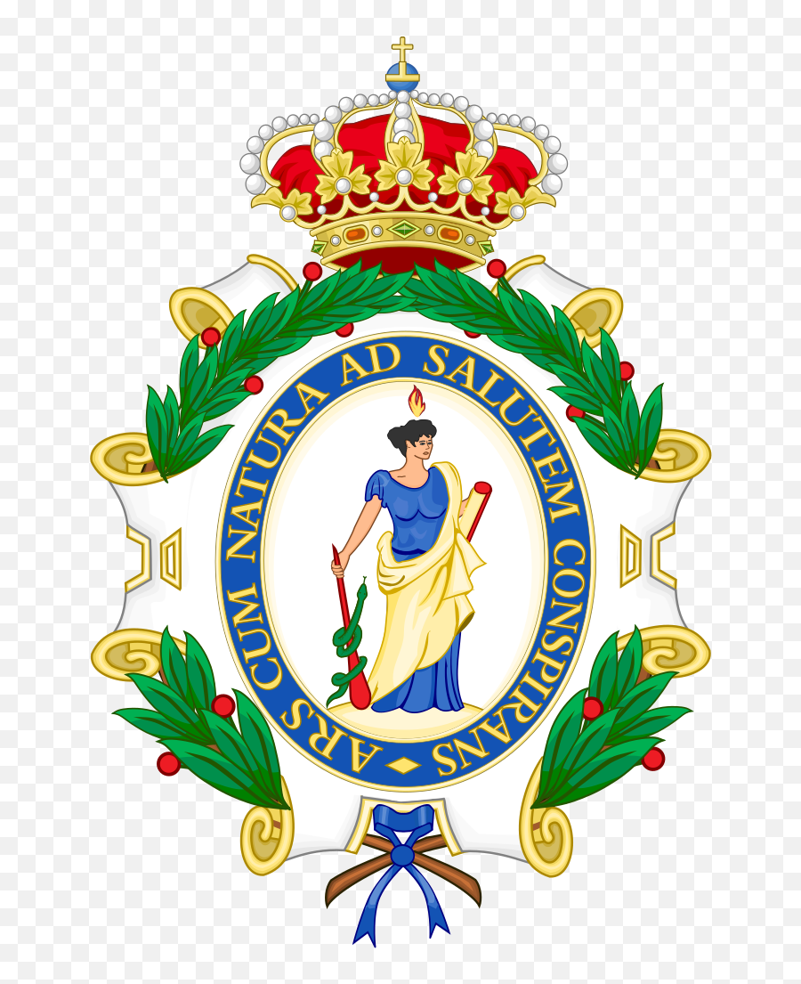 Coat Of Arms Of The Spanish Royal - Real Academia De La Ingenieria Emoji,Costa Rican Flag Emoji