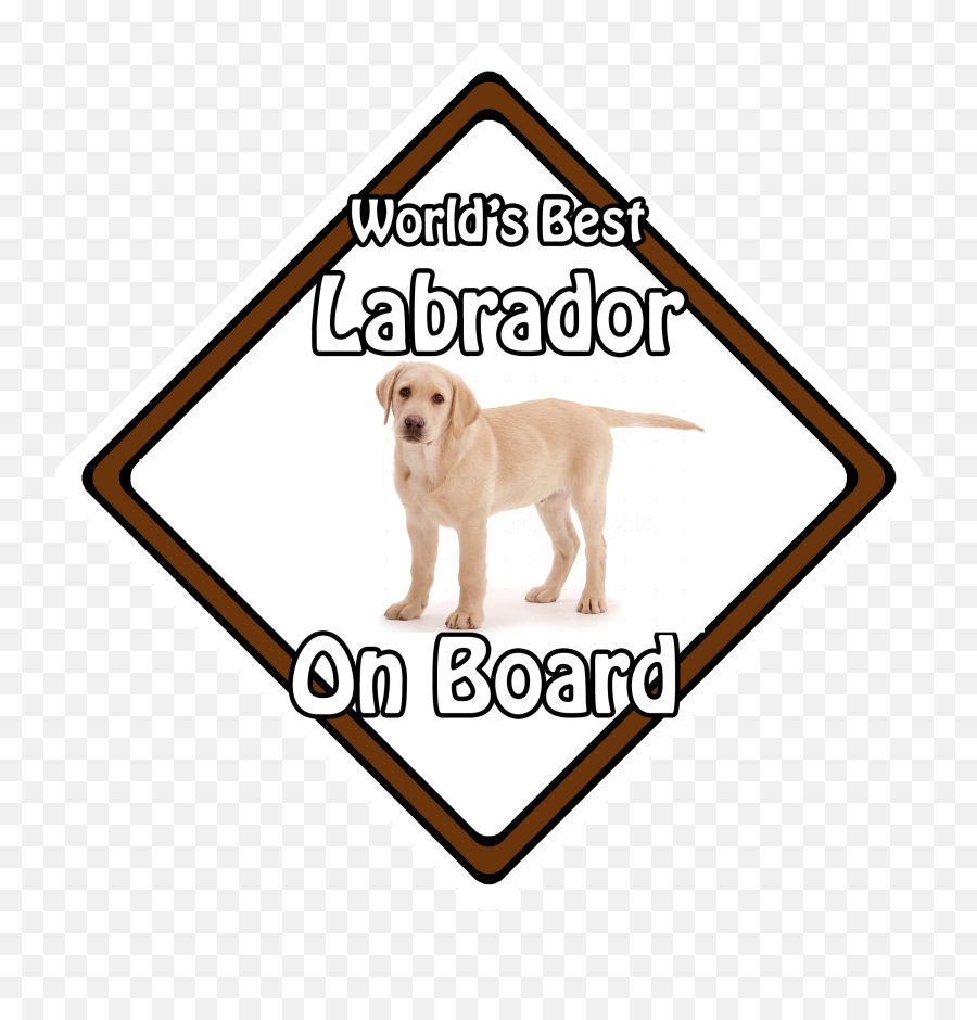 Worlds Best Dog On Board Car Safety Sign Blonde Labrador On Board - Dog Emoji,Blonde Princess Emoji