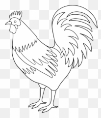 Coloring Page Hd Photos Clipart Png - Rooster Clipart Black And White Emoji,Rooster Emoticon