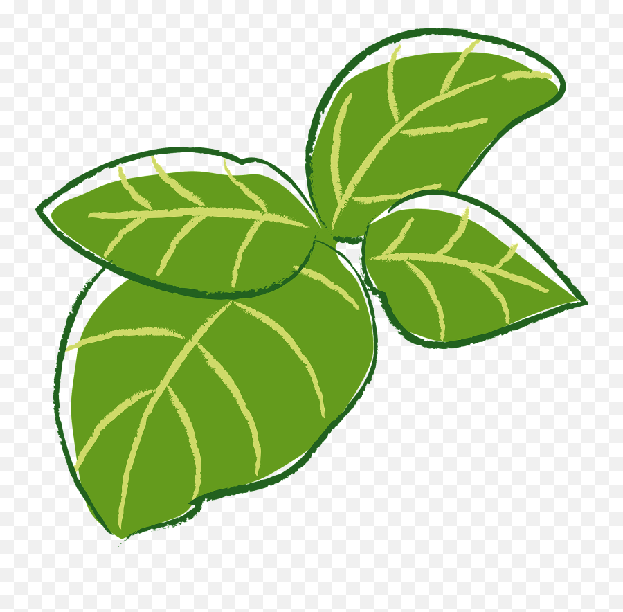Basil Herb Leaves Clipart - Basil Clipart Emoji,Herb Emoji