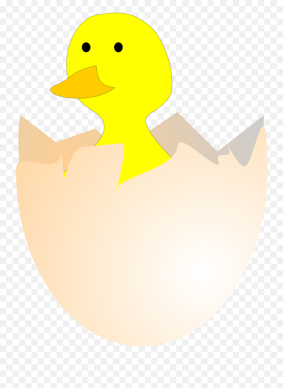 Chick Hatching Egg Egg Shell Broken - Gambar Telur Bebek Menetas Emoji,Baby Duck Emoji