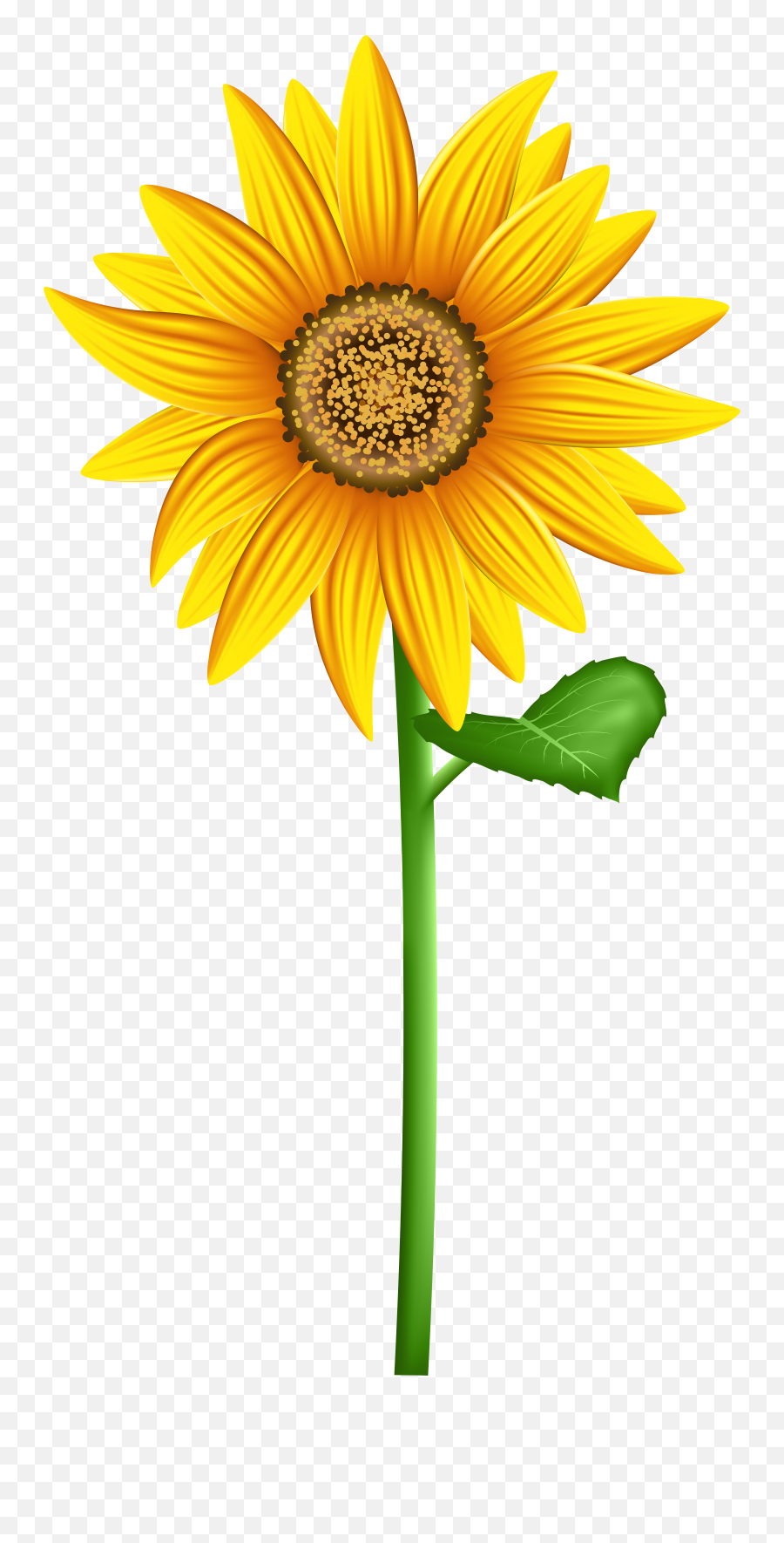 Transparent Background Sunflower Clipart Images - Transparent Background Sun Flower Clip Art Emoji,Sunflower Emoji