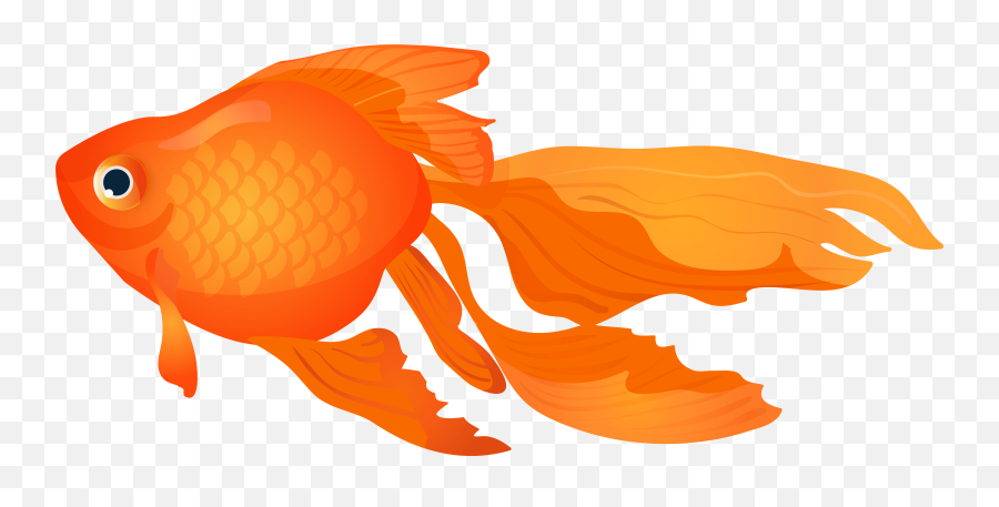 Transparent Background Goldfish Clipart - Transparent Background Goldfish Clipart Emoji,Goldfish Emoji