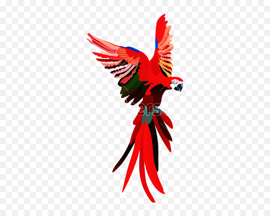 Parrot Parrots Red Colour Colourful Sticker By Lydia - Automotive Decal Emoji,Parrot Emoji