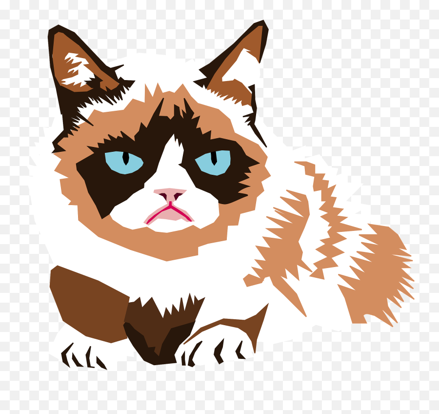 Grumpy Cat Clipart Free Download Transparent Png Creazilla - Financial Independence Meme Emoji,Cross Eyed Emoji