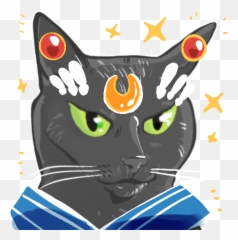 Emotetwitter - Domestic Cat Emoji,Reee Emoji