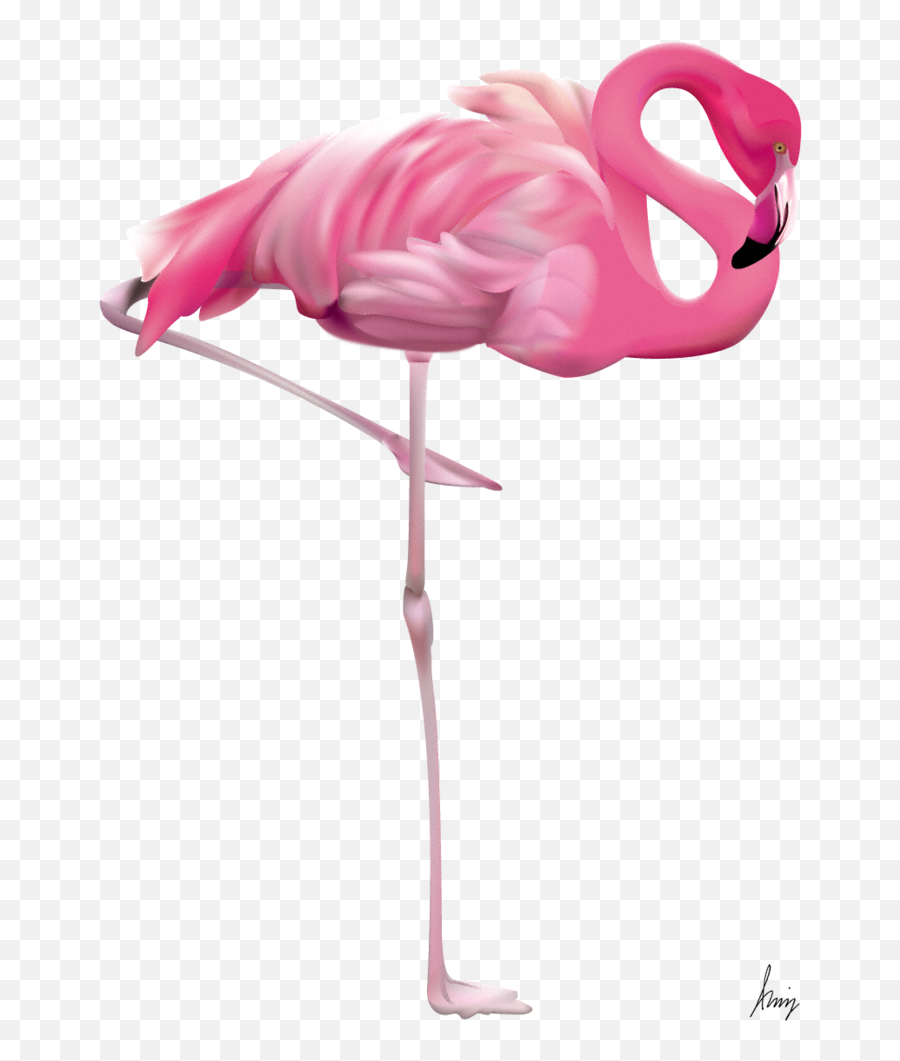 Clip Art - Transparent Free Image Flamingo Emoji,Flamingo Emoji