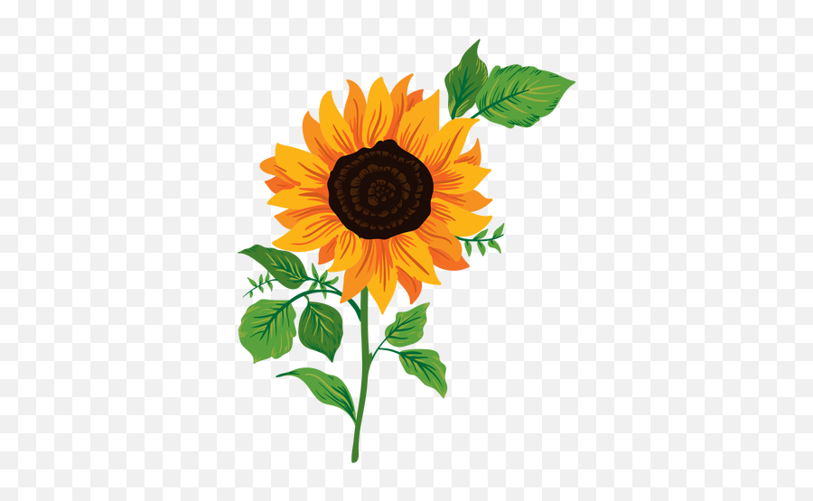 Common Sunflower Watercolor - Sunflower Images Clip Art Sunf