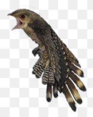 Sticker - Falconiformes Emoji