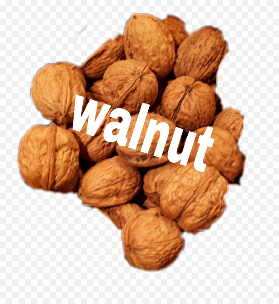 Walnut - Walnut Emoji,Walnut Emoji