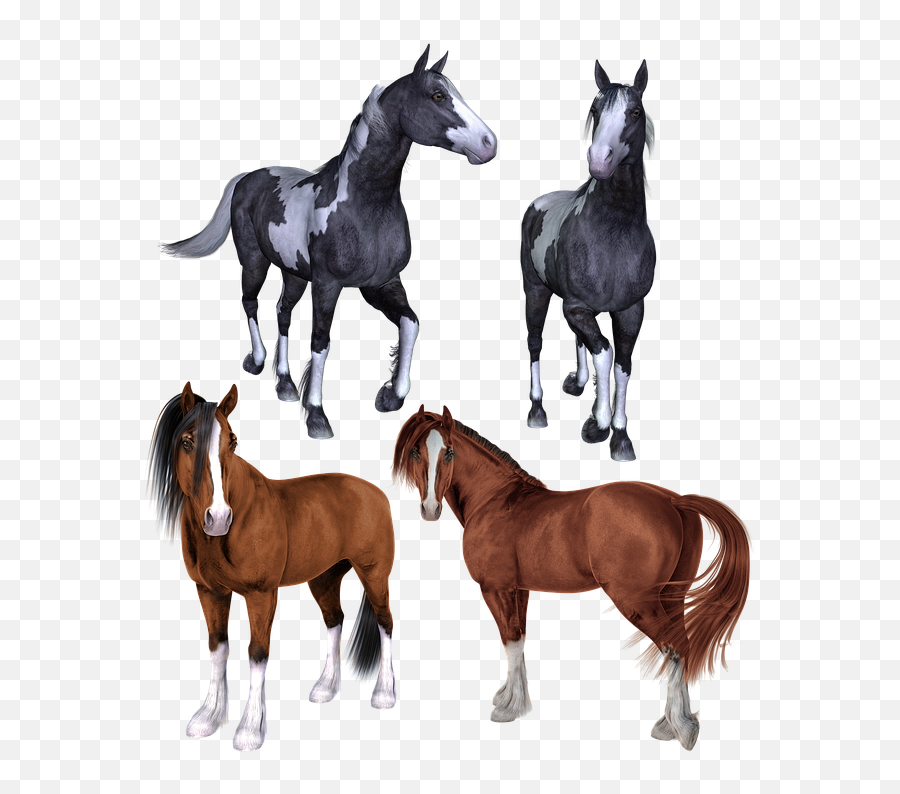 Horse Horses Mustang - Cavalo Malhado Png Emoji,Night Horse Emoji