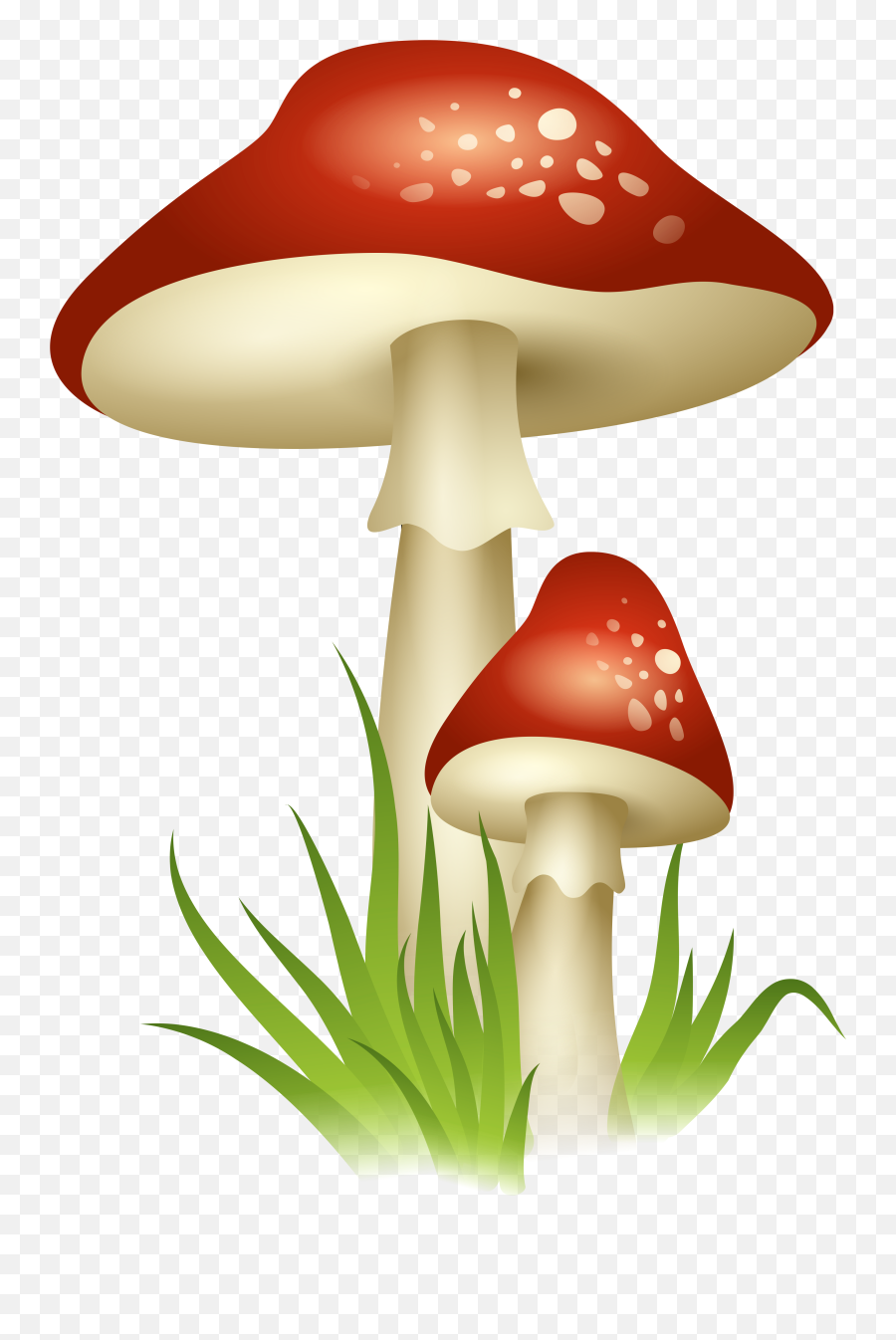 Circle Mushroom Transparent Background - Mushroom Clipart Transparent Background Emoji,Mushroom Cloud Emoji