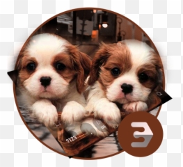 Cute Twins dog animal keyboard 10001001 Download Android APK - Happy Birthday Brother With Dogs Emoji