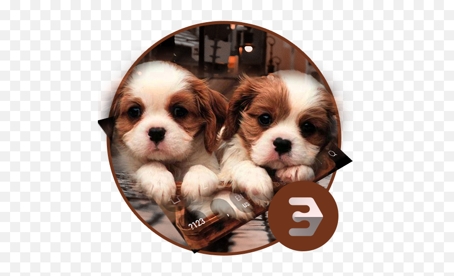 Cute Twins Dog Animal Keyboard 10001001 Download Android Apk - Happy Birthday Brother With Dogs Emoji,Dog Emoticons
