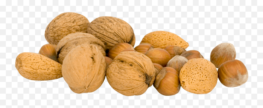 Nuts Transparent - Fruits And Nuts Png Emoji,Walnut Emoji