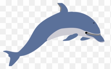 Mean Dolphin - Transparent Dolphin Clipart Emoji,Miami Dolphins Emoji