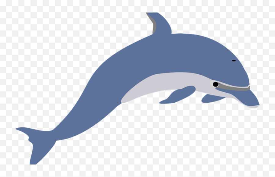 Mean Dolphin - Transparent Dolphin Clipart Emoji,Miami Dolphins Emoji